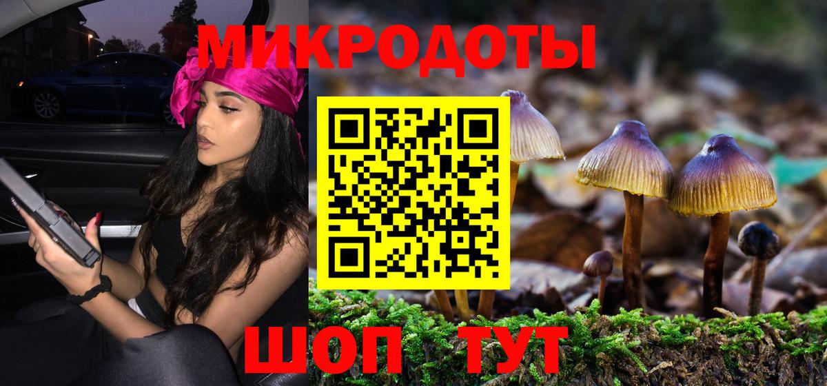 Галлюциногенные грибы GOLDEN TEACHER  Вход с VPN  Армавир  Псилоцибиновые грибы GOLDEN TEACHER 